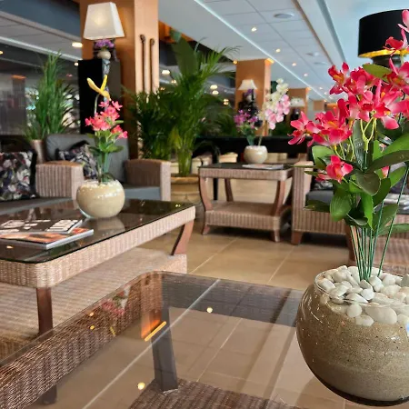 On Family Daire Islantilla